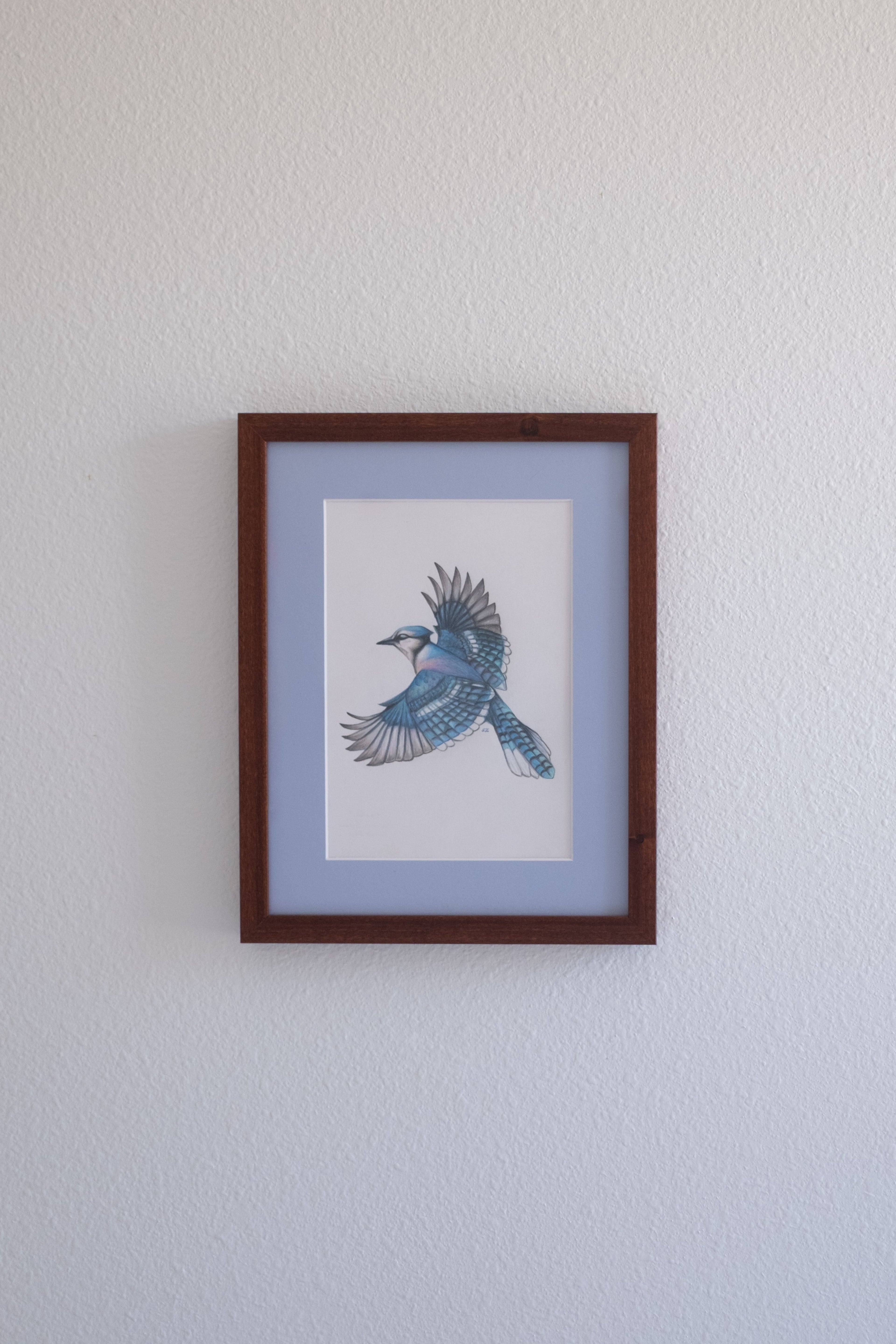 'Blue Jay' Original Work