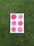 'My Pink Blooms' Numbered Print