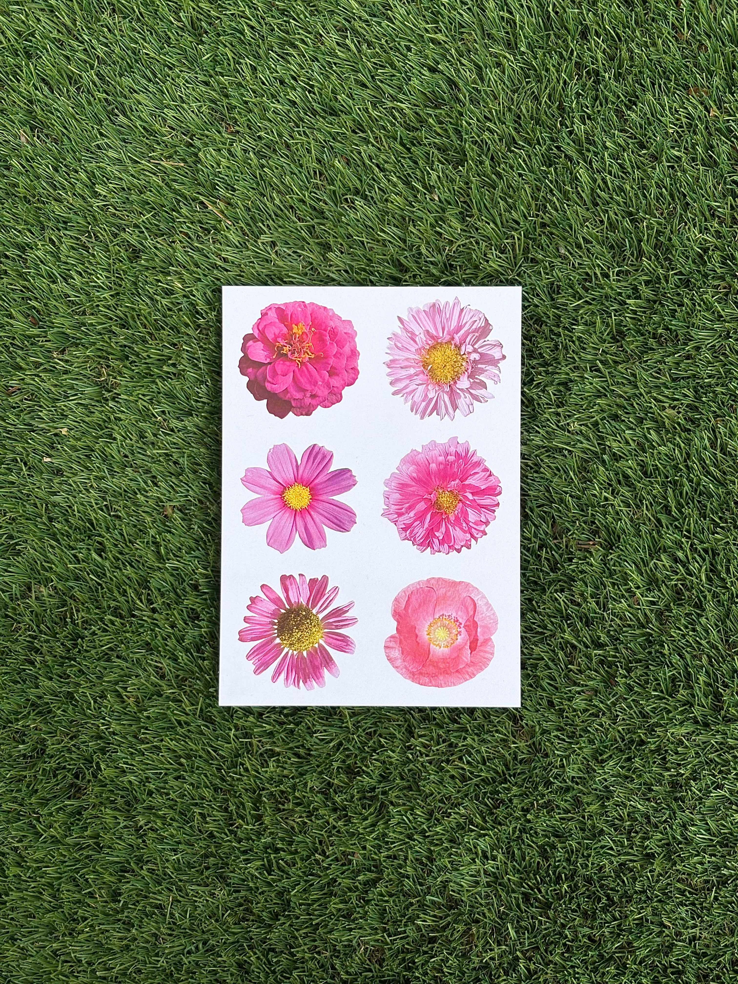 'My Pink Blooms' Numbered Print